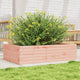 Vidaxl Planning Box 90x60x23 cm solide Douglashout