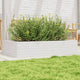 Vidaxl Planning Box 110x60x23 cm Pine solide blanc