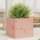 Vidaxl Planter Big 50x50x45.5 cm Solide Douglashout