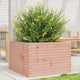 Vidaxl Planning Box 70x70x45.5 cm Douglashout solide