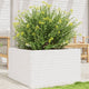 Boîte de planification Vidaxl 80x80x45,5 cm Pine solide blanc