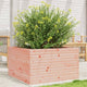 Vidaxl Planning Box 80x80x45.5 cm Douglashout solide