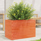 Boîte de planification Vidaxl 70x40x45,5 cm Brunier en pin massif