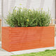 Boîte de planification Vidaxl 110x40x45.5 cm Brunier en pin massif