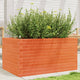 Boîte de planification de Vidaxl 90x60x45,5 cm Brunier en pin massif