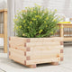 Boîte de planification Vidaxl 40x40x26,5 cm Pine solide