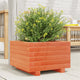 Vidaxl jardinière Big 40x40x26,5 cm en pin massif brun