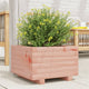 Boîte de planification Vidaxl 40x40x26,5 cm Solide Douglashout