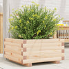 Boîte de planification Vidaxl 50x50x26,5 cm Pine solide