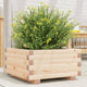 Boîte de planification Vidaxl 50x50x26,5 cm Pine solide