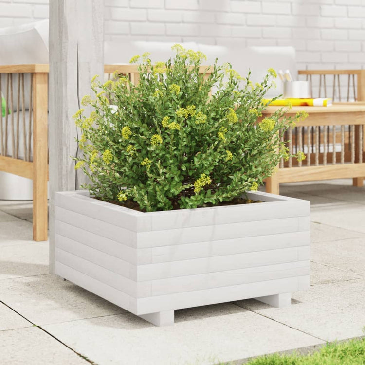 Boîte de planification Vidaxl 50x50x26,5 cm Pine solide blanc