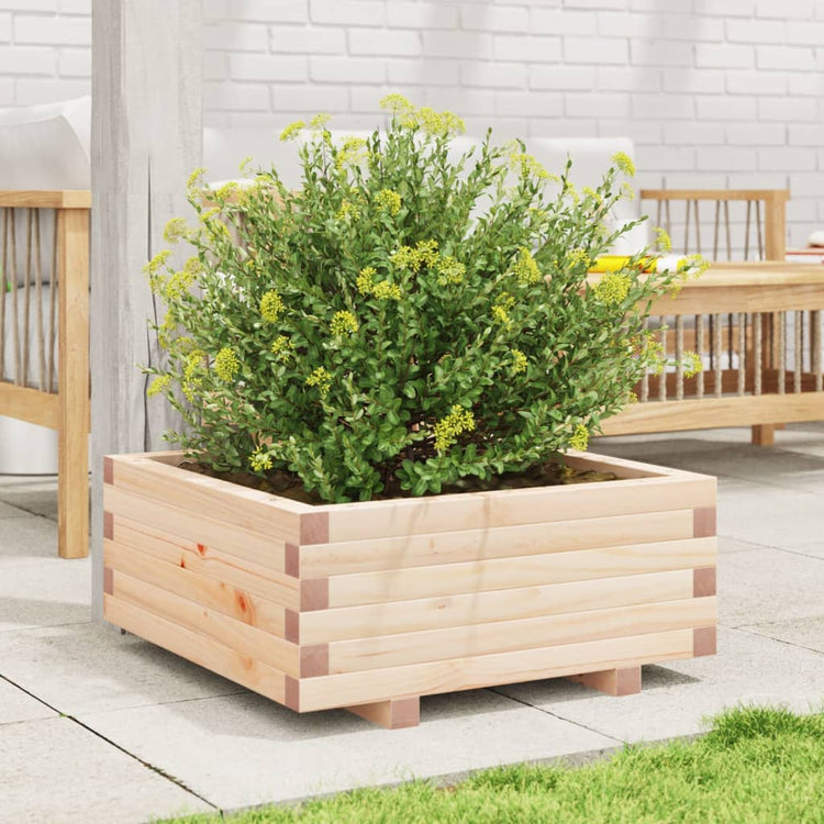 Boîte de planification Vidaxl 60x60x26,5 cm Pine solide