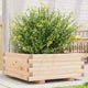 Boîte de planification Vidaxl 60x60x26,5 cm Pine solide