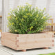 Boîte de planification Vidaxl 70x70x26.5 cm Pine solide