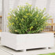 Vidaxl Planning Box 70x70x26.5 cm Pine solide blanc