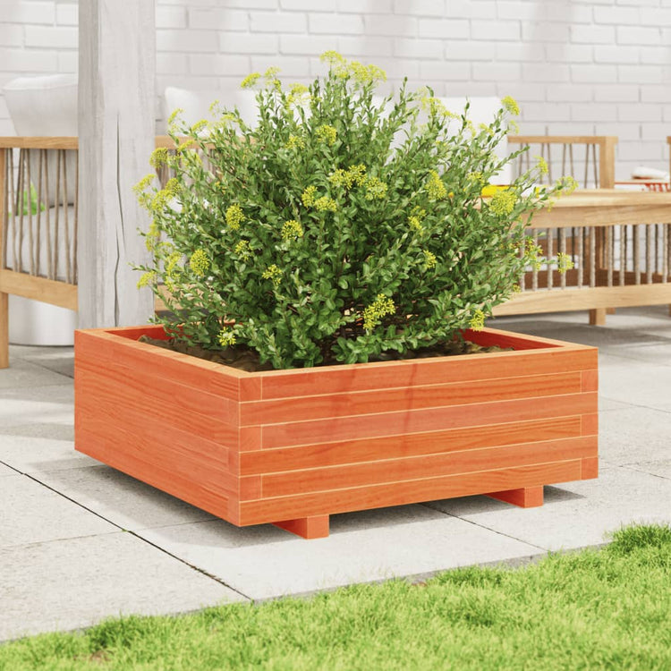 Boîte de planification Vidaxl 70x70x26.5 cm Brunier en pin massif