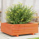 Boîte de planification Vidaxl 70x70x26.5 cm Brunier en pin massif