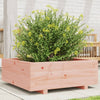 Vidaxl Planning Box 70x70x26.5 cm Douglashout solide