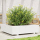 Boîte de planification Vidaxl 90x90x26,5 cm Pine solide blanc