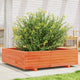 Boîte de planification Vidaxl 90x90x26.5 cm Brunier