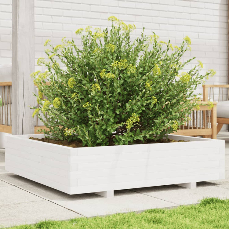 Vidaxl planteur 100x100x26,5 cm de pin solide blanc