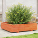 Boîte de planification Vidaxl 100x100x26,5 cm Brunier en pin massif