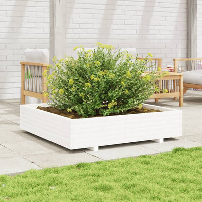 Boîte de planification Vidaxl 110x110x26.5 cm Pine solide blanc