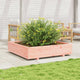Vidaxl Planning Box 110x110x26.5 cm Douglashout solide