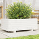 Vidaxl Planning Box 70x40x26.5 cm Pine solide blanc