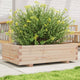 Boîte de planification Vidaxl 90x60x26,5 cm Pine solide