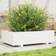 Boîte de planification Vidaxl 90x60x26.5 cm Pine solide blanc