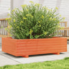 Boîte de planification de Vidaxl 90x60x26,5 cm Solide Brown