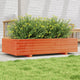 Boîte de planification Vidaxl 110x60x26.5 cm Brown de pine solide