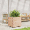 Boîte de planification Vidaxl 50x50x49.5 cm Pine solide