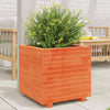 Vidaxx jardinière 50x50x49,5 cm bois de pin massif, marron lavé