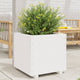 Vidaxl Planning Box 60x60x49.5 cm Pine solide blanc
