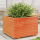Vidaxx jardinière 70x70x49,5 cm bois de pin massif, marron lavé