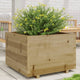 Vidaxl Planning Box 70x70x49.5 cm Pine imprégnée