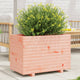 Vidaxl Planning Box 70x40x49.5 cm Douglashout solide