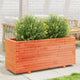 Boîte de planification Vidaxl 110x40x49.5 cm Brunier en pin massif