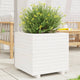 Boîte de planification Vidaxl 50x50x49.5 cm Pine solide blanc
