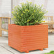 Boîte de planification de Vidaxl 60x60x49.5 cm Brunier en pin massif