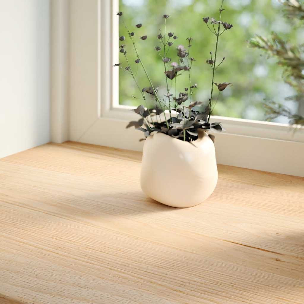 Vidaxx appuis de fenêtre 2 pcs non traité 90x20x2 cm chêne massif