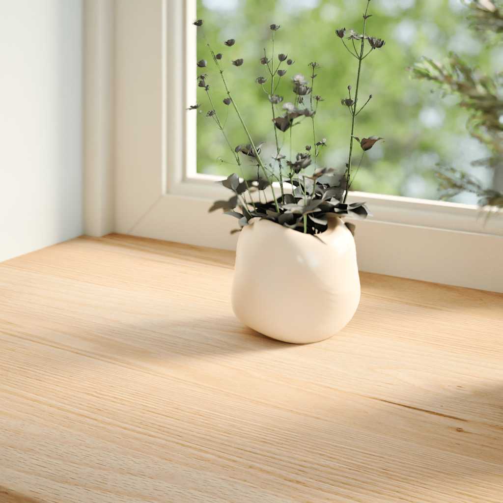 Vidaxx appuis de fenêtre 2 pcs non traité 100x20x2 cm chêne massif