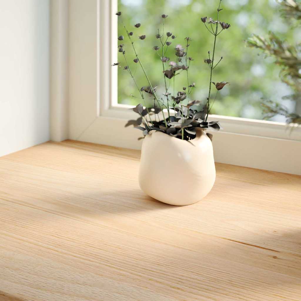 Vidaxl Fenêtre Sills 2 ST NON Traité 70x30x2 cm Chêne solide
