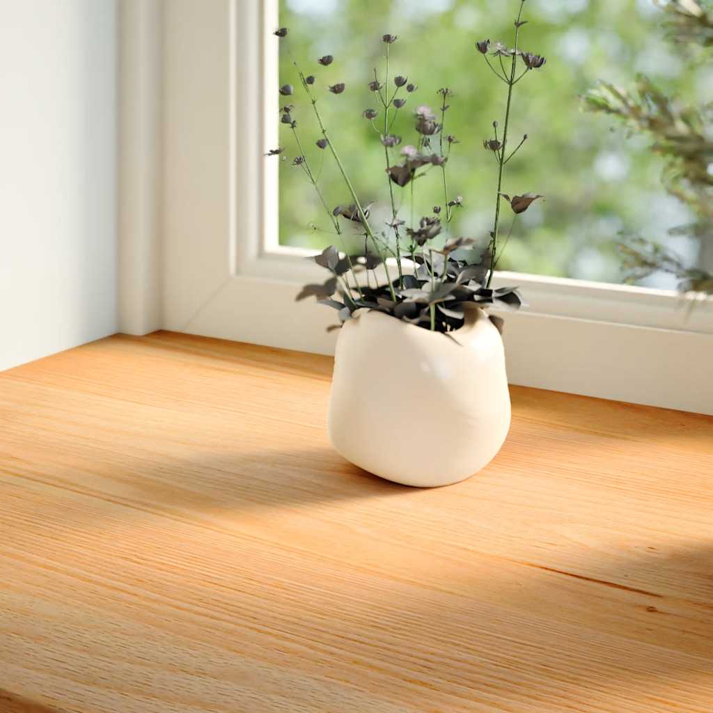 Vidaxl Sills de fenêtre 2 ST 80x25x2 cm en chêne solide brun clair