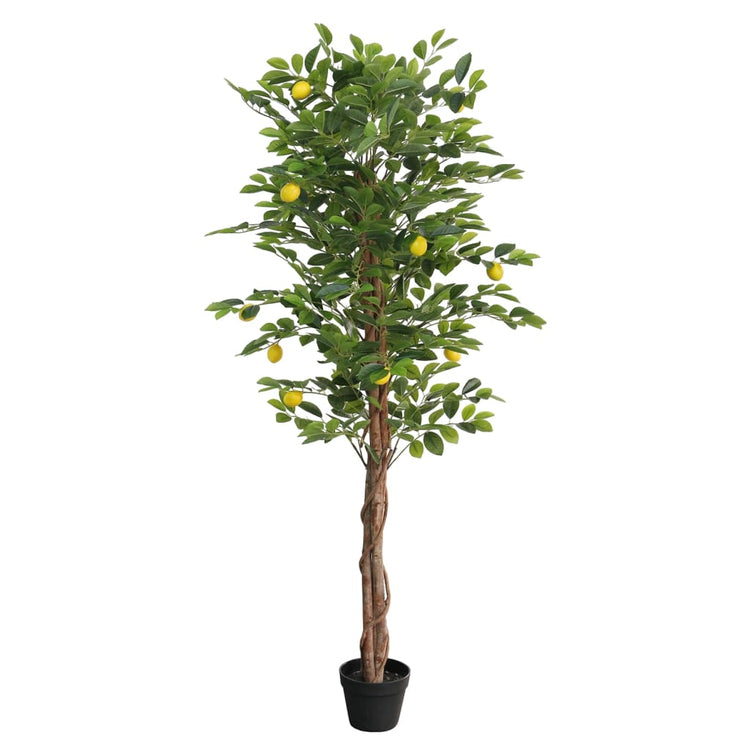 Vidaxl artcitroenboom avec 3 souches 180 cm en polypropène vert