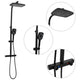 Vidaxl Shower Head Set Double avec mélangeur Tap et tuyau en laiton noir