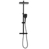 Vidaxl Shower Head Set Double avec mélangeur Tap et tuyau en laiton noir