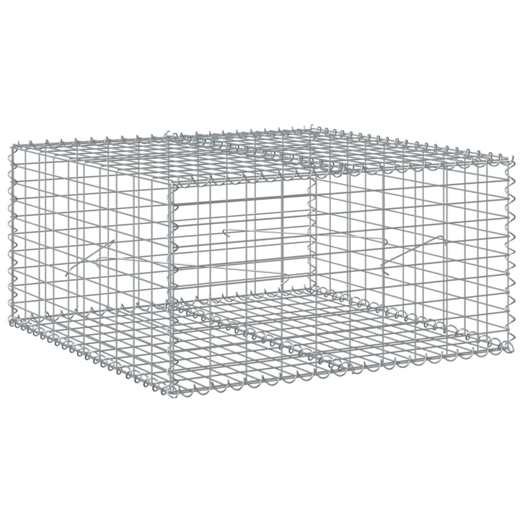 Vidaxl schanskorf 100x100x50 cm Galvanisé en fer argent couleur